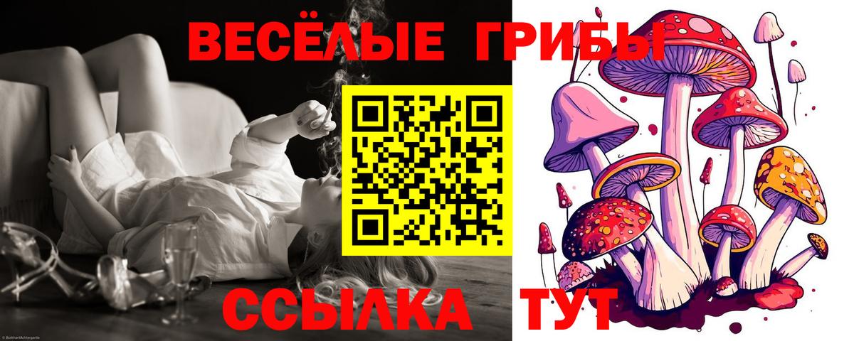 Псилоцибиновые грибы GOLDEN TEACHER  Вход с VPN  Соликамск 